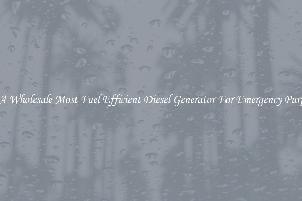 Get A Wholesale Most Fuel Efficient Diesel Generator For Emergency Purposes
