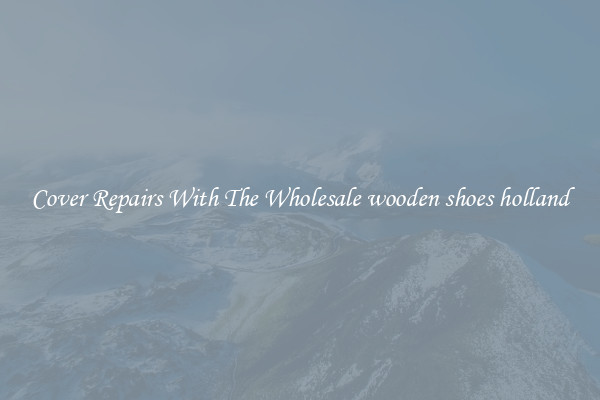  Cover Repairs With The Wholesale wooden shoes holland 