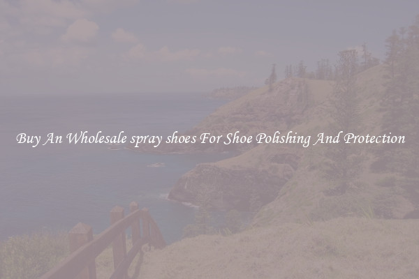 Buy An Wholesale spray shoes For Shoe Polishing And Protection
