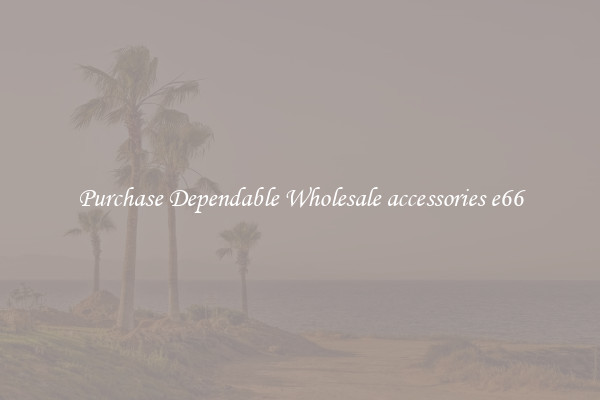 Purchase Dependable Wholesale accessories e66