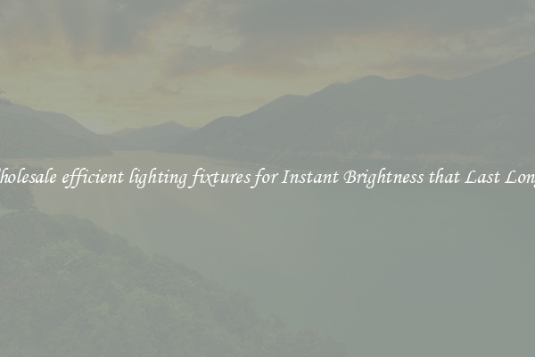 Wholesale efficient lighting fixtures for Instant Brightness that Last Longer