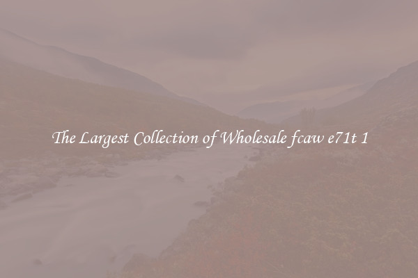 The Largest Collection of Wholesale fcaw e71t 1