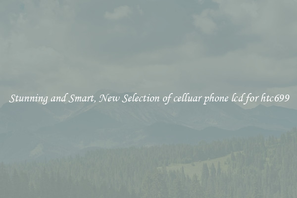 Stunning and Smart, New Selection of celluar phone lcd for htc699