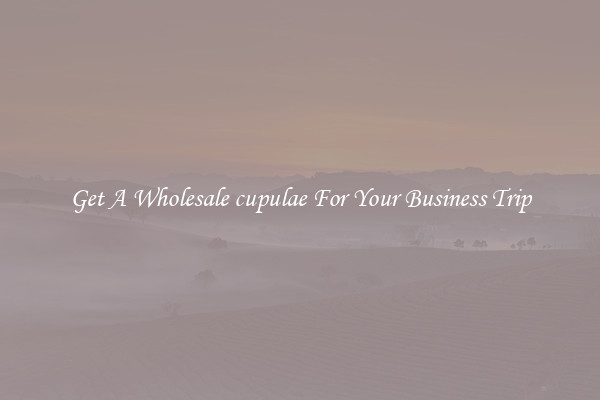 Get A Wholesale cupulae For Your Business Trip