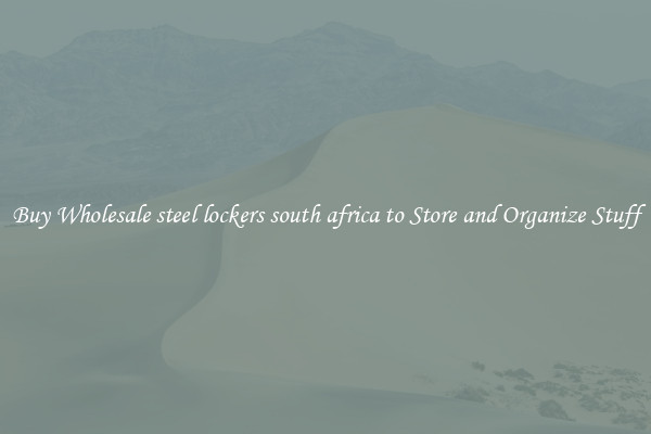 Buy Wholesale steel lockers south africa to Store and Organize Stuff