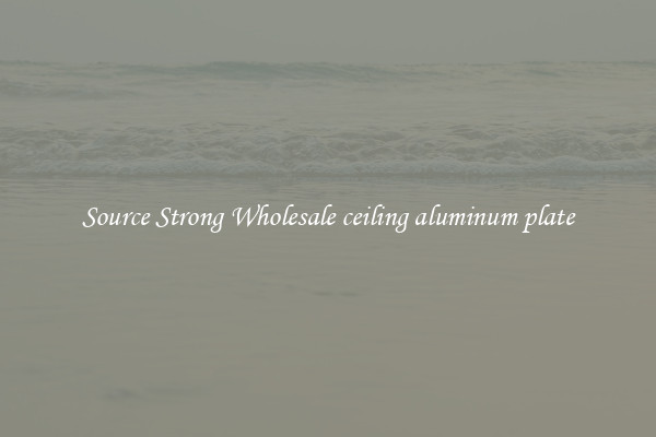 Source Strong Wholesale ceiling aluminum plate