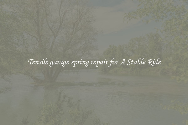 Tensile garage spring repair for A Stable Ride