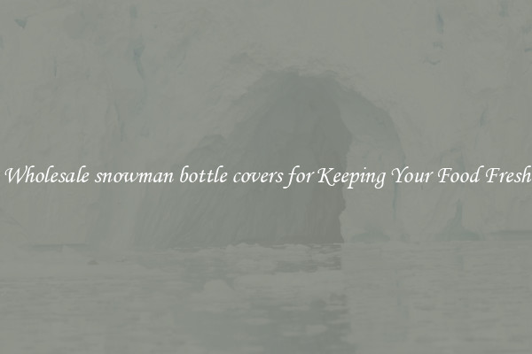 Wholesale snowman bottle covers for Keeping Your Food Fresh