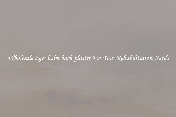 Wholesale tiger balm back plaster For Your Rehabilitation Needs