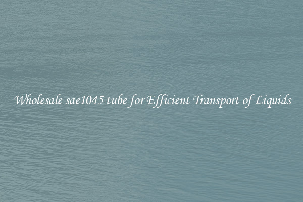Wholesale sae1045 tube for Efficient Transport of Liquids
