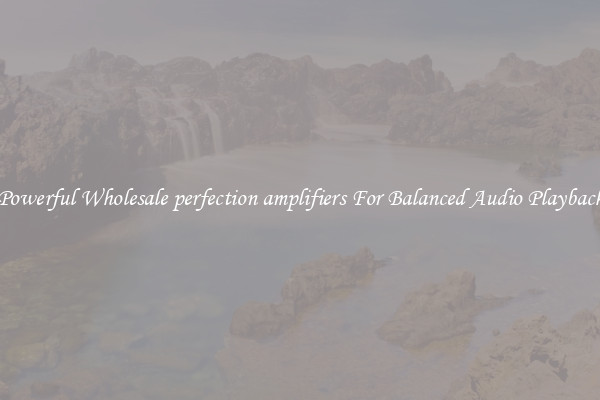 Powerful Wholesale perfection amplifiers For Balanced Audio Playback