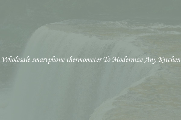 Wholesale smartphone thermometer To Modernize Any Kitchen