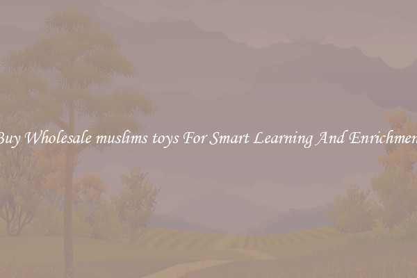 Buy Wholesale muslims toys For Smart Learning And Enrichment
