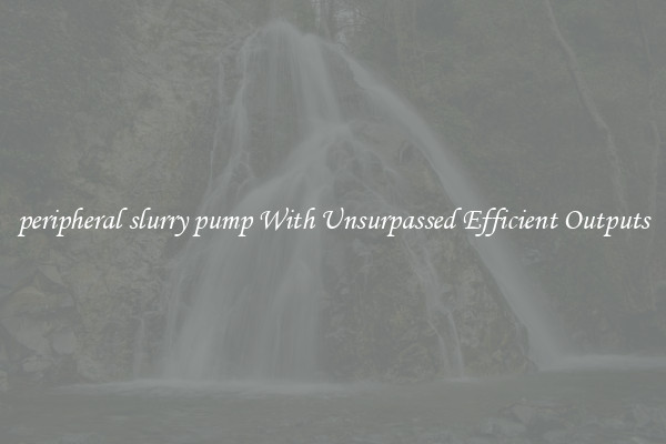 peripheral slurry pump With Unsurpassed Efficient Outputs