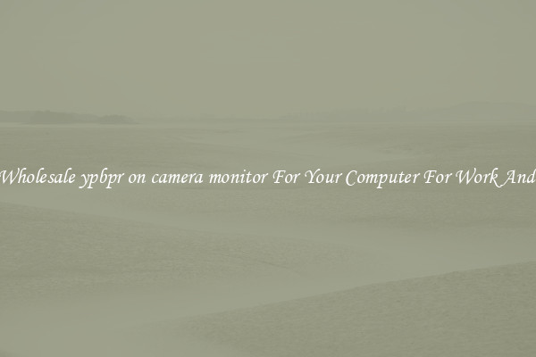 Crisp Wholesale ypbpr on camera monitor For Your Computer For Work And Home