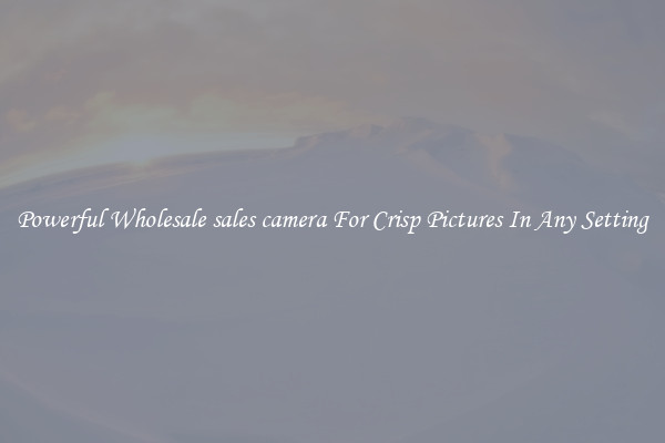 Powerful Wholesale sales camera For Crisp Pictures In Any Setting