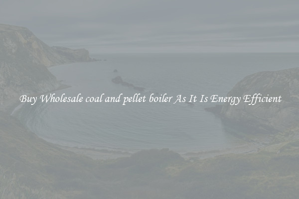 Buy Wholesale coal and pellet boiler As It Is Energy Efficient