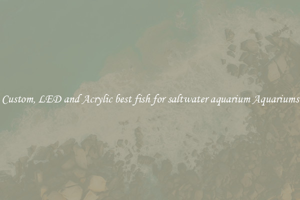 Custom, LED and Acrylic best fish for saltwater aquarium Aquariums