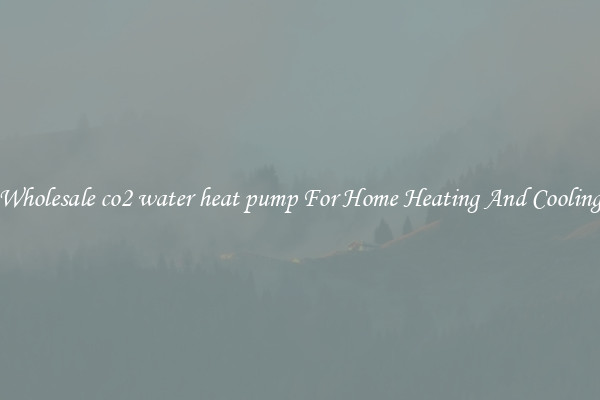 Wholesale co2 water heat pump For Home Heating And Cooling