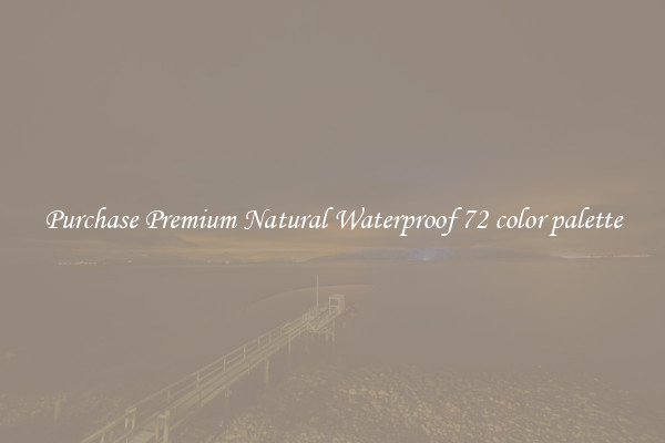 Purchase Premium Natural Waterproof 72 color palette
