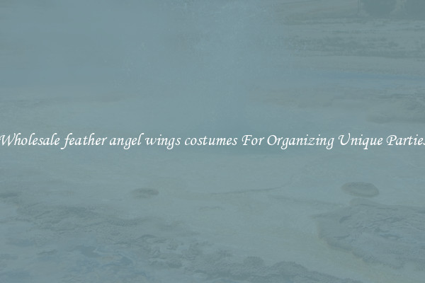 Wholesale feather angel wings costumes For Organizing Unique Parties