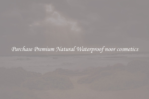 Purchase Premium Natural Waterproof noor cosmetics