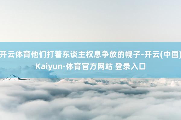 开云体育他们打着东谈主权息争放的幌子-开云(中国)Kaiyun·体育官方网站 登录入口