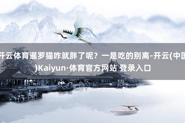 开云体育暹罗猫咋就胖了呢？一是吃的别离-开云(中国)Kaiyun·体育官方网站 登录入口
