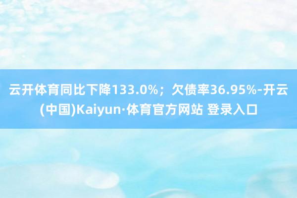 云开体育同比下降133.0%；欠债率36.95%-开云(中国)Kaiyun·体育官方网站 登录入口