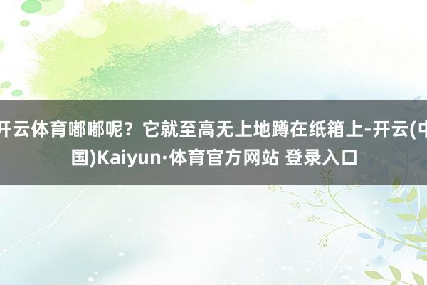 开云体育嘟嘟呢？它就至高无上地蹲在纸箱上-开云(中国)Kaiyun·体育官方网站 登录入口