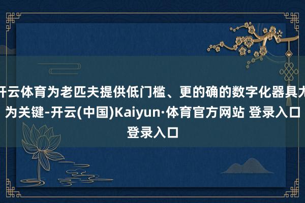 开云体育为老匹夫提供低门槛、更的确的数字化器具尤为关键-开云(中国)Kaiyun·体育官方网站 登录入口