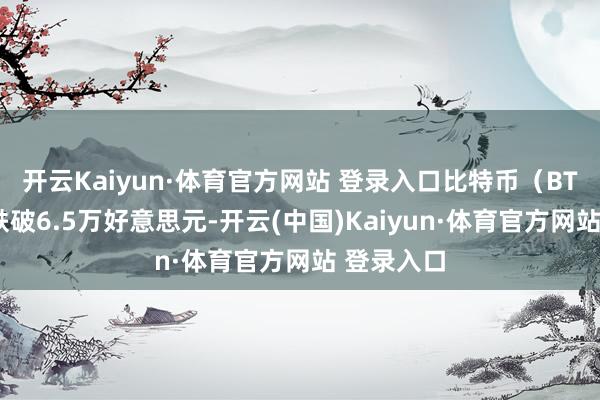 开云Kaiyun·体育官方网站 登录入口比特币（BTC）一度跌破6.5万好意思元-开云(中国)Kaiyun·体育官方网站 登录入口