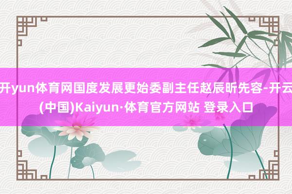开yun体育网国度发展更始委副主任赵辰昕先容-开云(中国)Kaiyun·体育官方网站 登录入口
